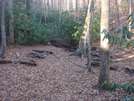 0178 2010.11.19 Campsite North Of Winding Stair Gap by Attila in Trail & Blazes in North Carolina & Tennessee