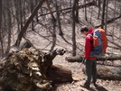 0215 2011.04.02 Beginning Of The Jump-up - "old" Trail Ahead, "new" Trail To The by Attila in Trail & Blazes in North Carolina & Tennessee