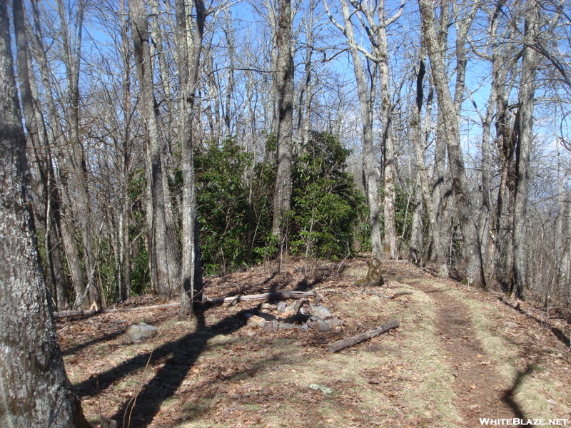 0221 2011.04.02 Small Campsite South Of Sassafras Gap