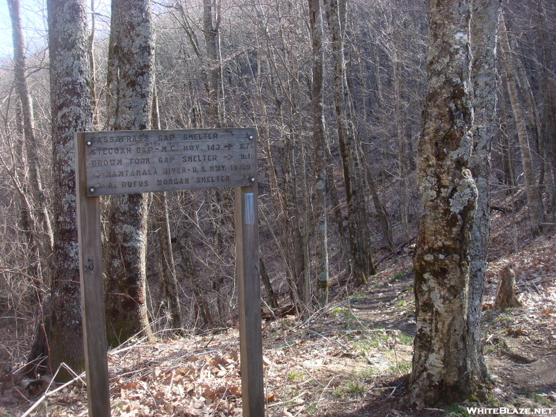 0222 2011.04.02 Trail To Sassafras Gap Shelter