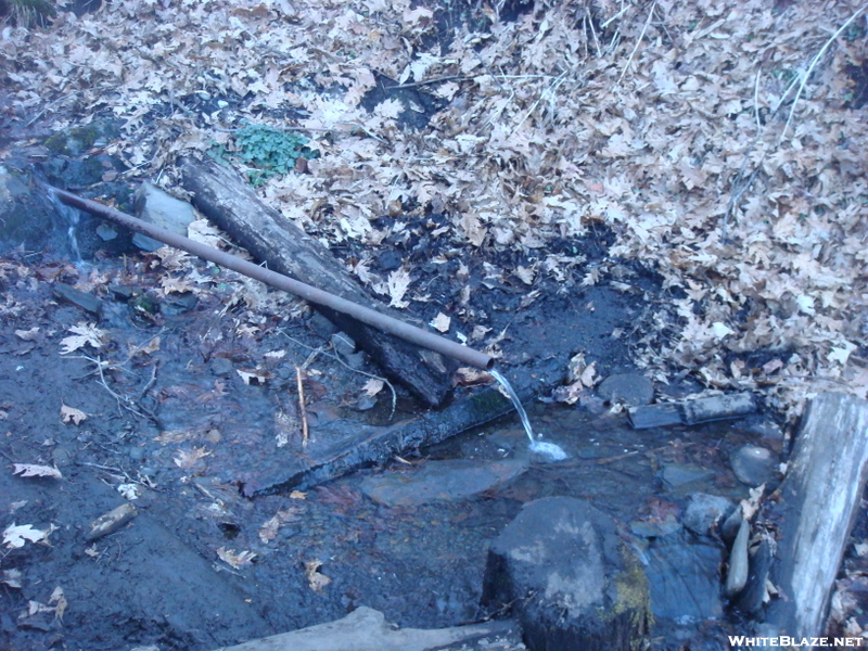 0224 2011.04.02 Water Source In Front Of Sassafras Gap Shelter