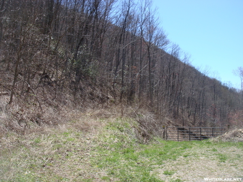 0242 2011.04.03 Overgrown Road Leading To Water At Stecoah Gap