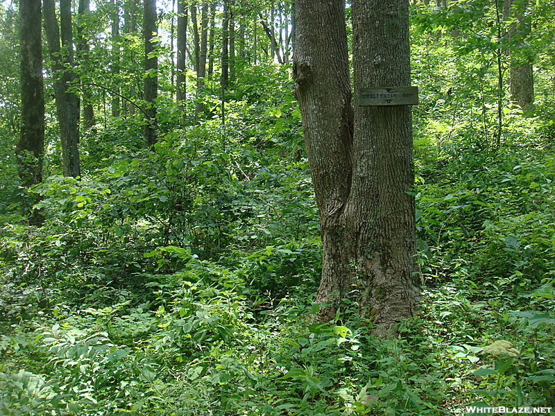 0247 2011.06.24 Sweetwater Gap Sign