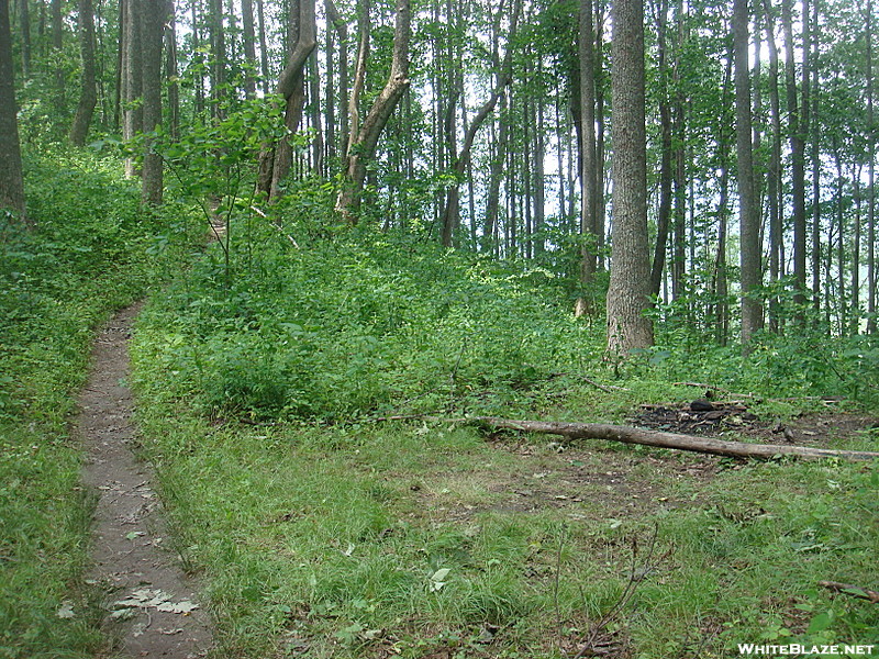 0248 2011.06.24 Campsite At Sweetwater Gap