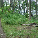 0248 2011.06.24 Campsite At Sweetwater Gap