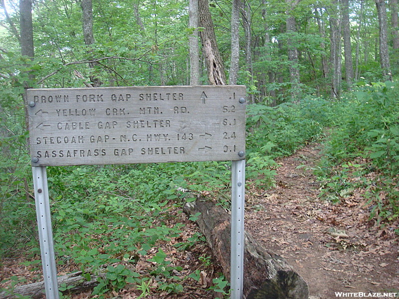 0250 2011.06.24 Trail To Brown Fork Gap Shelter