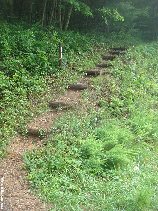 0254 2011.06.24 Yellow Creek Gap NOBO Trail