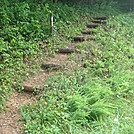 0254 2011.06.24 Yellow Creek Gap NOBO Trail by Attila in Trail & Blazes in North Carolina & Tennessee
