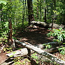 0270 2011.06.25 Campsite On The Trail Between Fontana Dam Shelter And Marina by Attila in Trail & Blazes in North Carolina & Tennessee