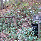 0301 2011.10.09 Birch Spring Campground - Bucket To Water Horses