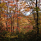 0312  2011.10.09 Fall Colors North Of Mollies Ridge Shelter