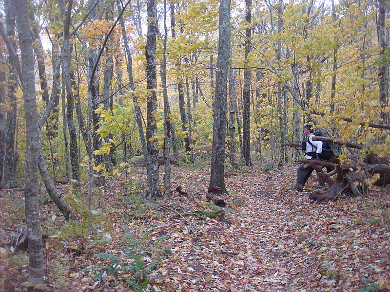 0319 2011.10.10 Rob Resting North Of Russell Field Shelter