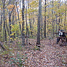 0319 2011.10.10 Rob Resting North Of Russell Field Shelter by Attila in Section Hikers