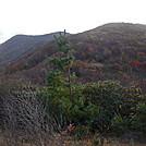 0325 2011.10.10 View Of Rocky Top And Thunderhead Mountain From Spence Field