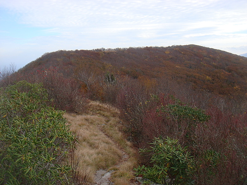 0329 2011.10.10 View Of Thunderhead Mountain From Rocky Top