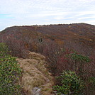 0329 2011.10.10 View Of Thunderhead Mountain From Rocky Top