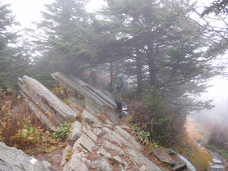 0337 2011.10.11 Clingmans Dome Bypass Trail