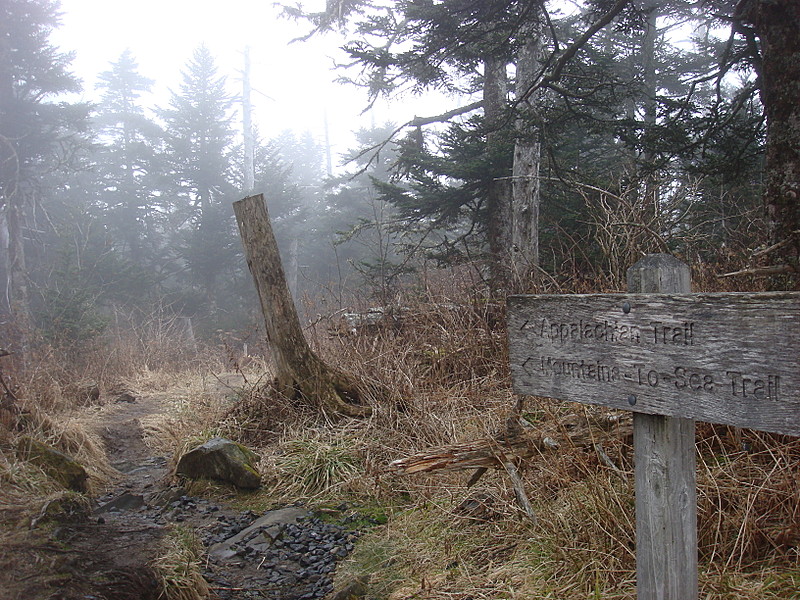 0341 2011.11.26 Short Trail Leading To AT From Clingmans Dome