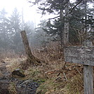 0341 2011.11.26 Short Trail Leading To AT From Clingmans Dome