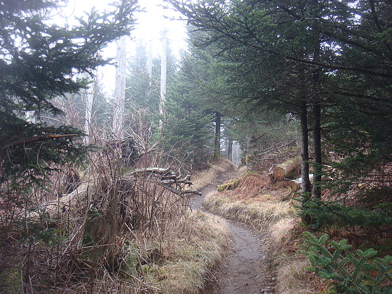 0342 2011.11.26 NOBO Trail Leading Away From Clingmans Dome