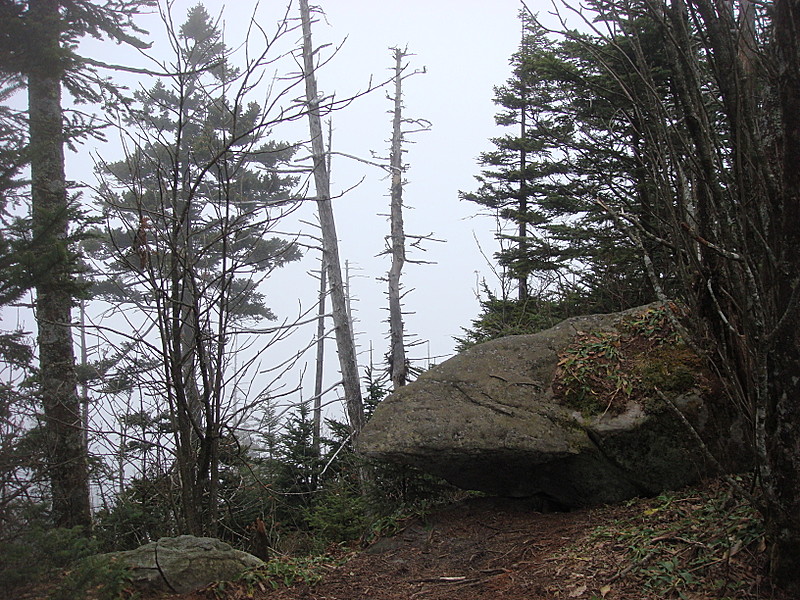 0346 2011.11.26 View North Of Clingmans Dome