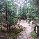 0357 2011.11.26 Two Blazes, Trail Turning Left Leading To Mt Collins Shelter