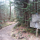 0358 2011.11.26 Sugarland Mountain Trail Leading To Mt Collins  Shelter by Attila in Trail & Blazes in North Carolina & Tennessee