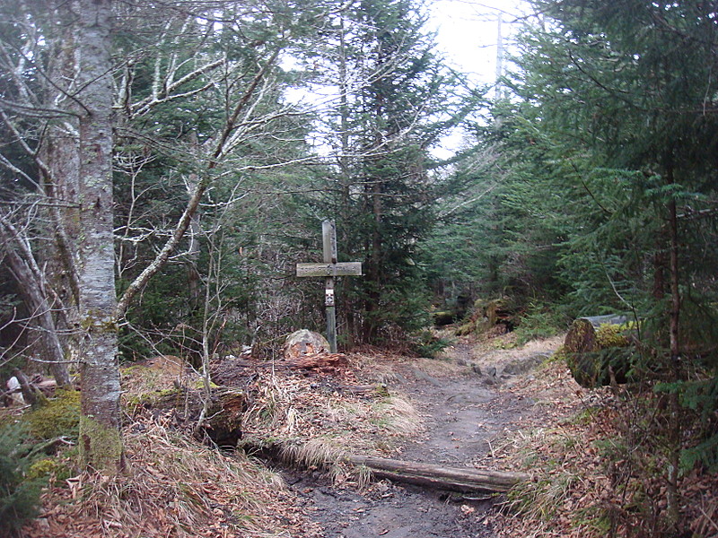 0362 2011.11.26 Fork Ridge Trail Sign