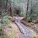 0367 2011.11.26 AT Between Fork Ridge Trail And Indian Gap by Attila in Trail & Blazes in North Carolina & Tennessee
