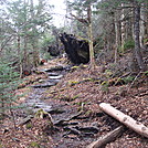 0368 2011.11.26 AT Between Fork Ridge Trail And Indian Gap