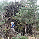 0371 2011.11.26 Gabe In Front Of Uprooted Tree by Attila in Section Hikers
