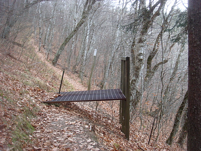 0378 2011.11.26 Beech Forest Exclosure Southern Fence