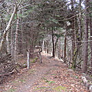 0380 2011.11.26 Trail In Beech Forest Exclosure by Attila in Trail & Blazes in North Carolina & Tennessee