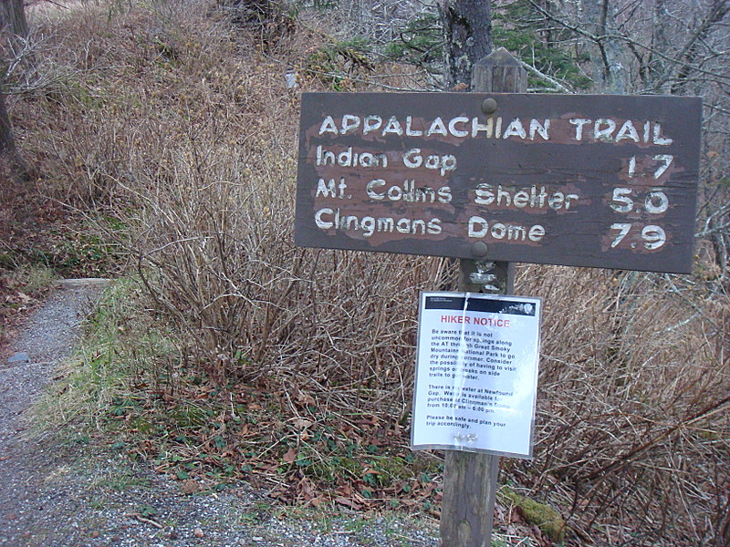 0381 2011.11.26 SOBO Trail From Newfound Gap