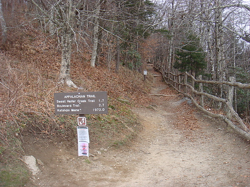 0384 2011.11.26 NOBO Trail From Newfound Gap