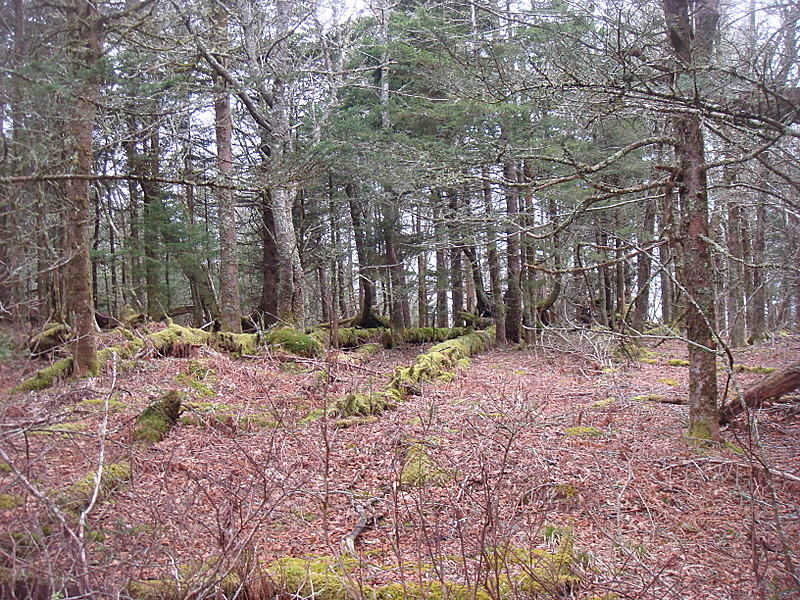 0388 2012.04.02 View From AT South Of Boulevard Trail