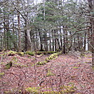 0388 2012.04.02 View From AT South Of Boulevard Trail by Attila in Views in North Carolina & Tennessee