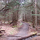 0389 2012.04.02 View Of AT South Of Boulevard Trail by Attila in Trail & Blazes in North Carolina & Tennessee