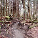 0391 2012.04.02 View Of AT North Of Boulevard Trail by Attila in Trail & Blazes in North Carolina & Tennessee