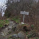 0394 2012.04.02 Trail Leading To Charles Bunion by Attila in Trail & Blazes in North Carolina & Tennessee