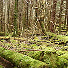 0421 2012.04.03 View North Of Tricorner Knob Shelter