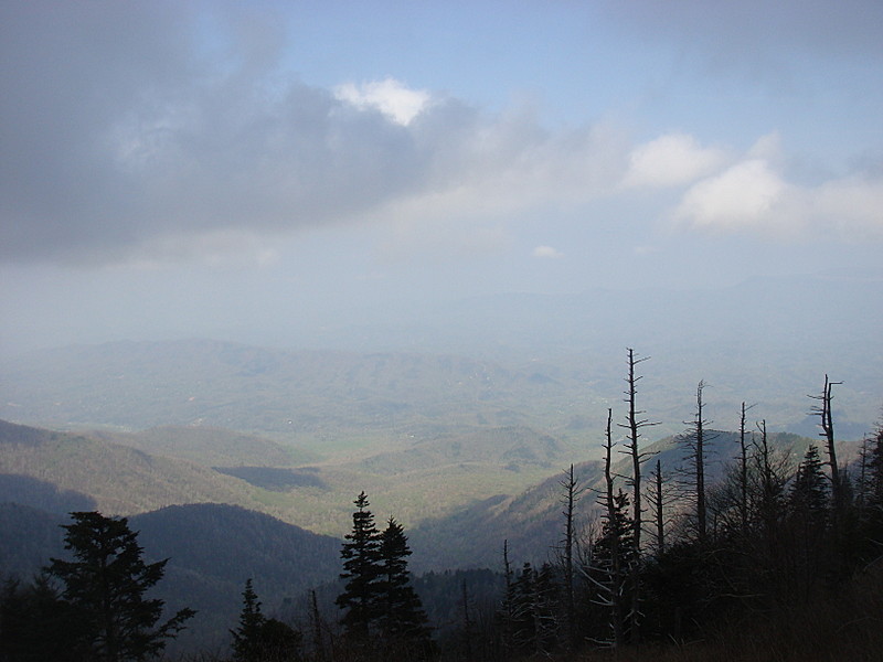 0422 2012.04.03 View North Of Tricorner Knob Shelter