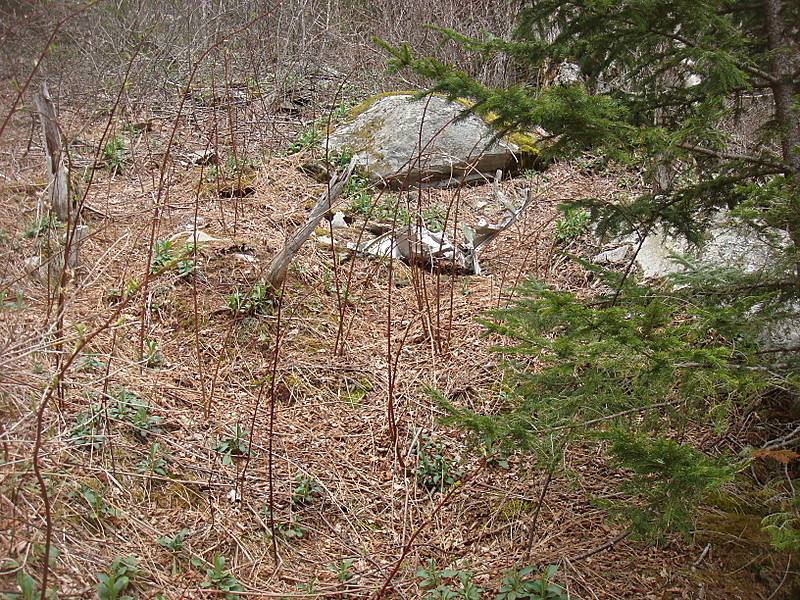 0424 2012.04.03 F-4 Wreckage Next To AT From 1984