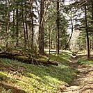 0428 2012.04.03 Snake Den Ridge Trail Leading Away From AT by Attila in Trail & Blazes in North Carolina & Tennessee