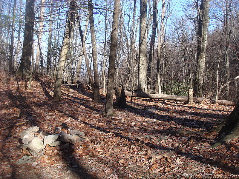 0466 2012.11.24 Campsite North Of Brown Gap