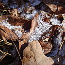 0467 2012.11.24 Frost On Leaves by Attila in Views in North Carolina & Tennessee