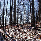 0468 2012.11.24 Frost On Ground by Attila in Views in North Carolina & Tennessee