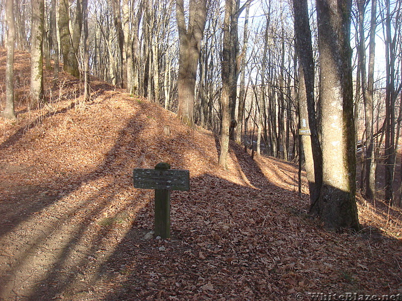 0487 2012.11.25 Trail To Water Source At Walnut Mountain Shelter