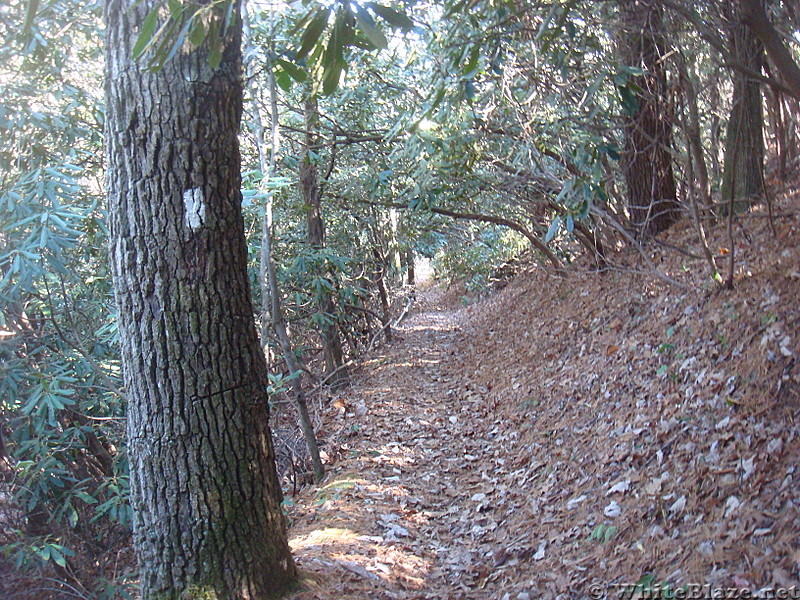 0490 2012.11.25 AT South Of Garenflo Gap