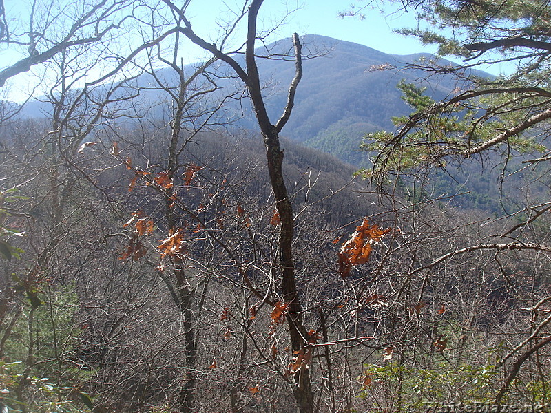 0492 2012.11.25 View Of Bluff Mountain From North Of Garenflo Gap